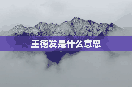 王德发是什么意思